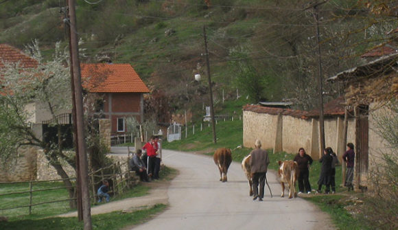 Kosovo