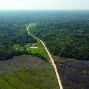 „Terra Protegida” – geschütztes Land