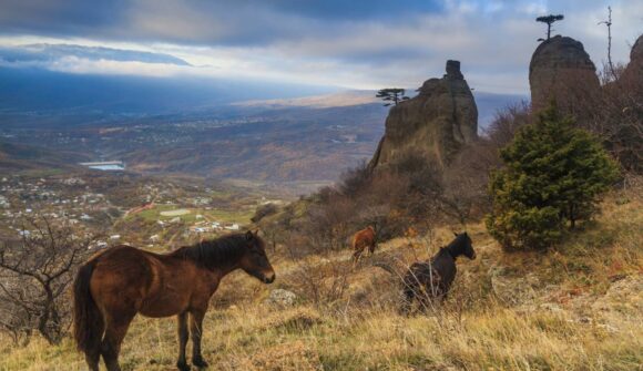 Bulgarien