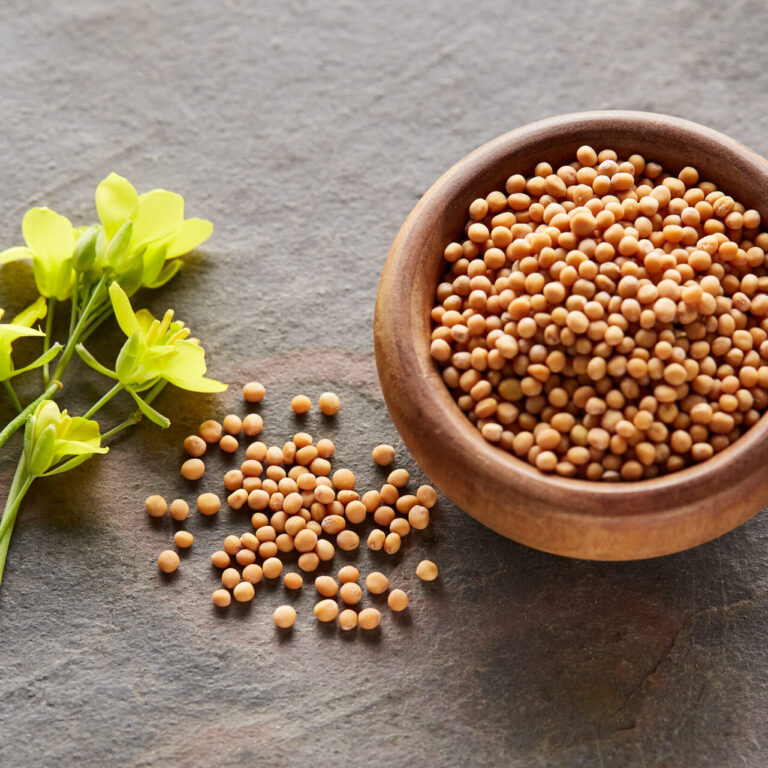 Mustard seeds with flowers on gray background